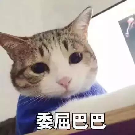 手机信号稳定网络延迟是怎么回事,手机信号满格无法接通是什么原因