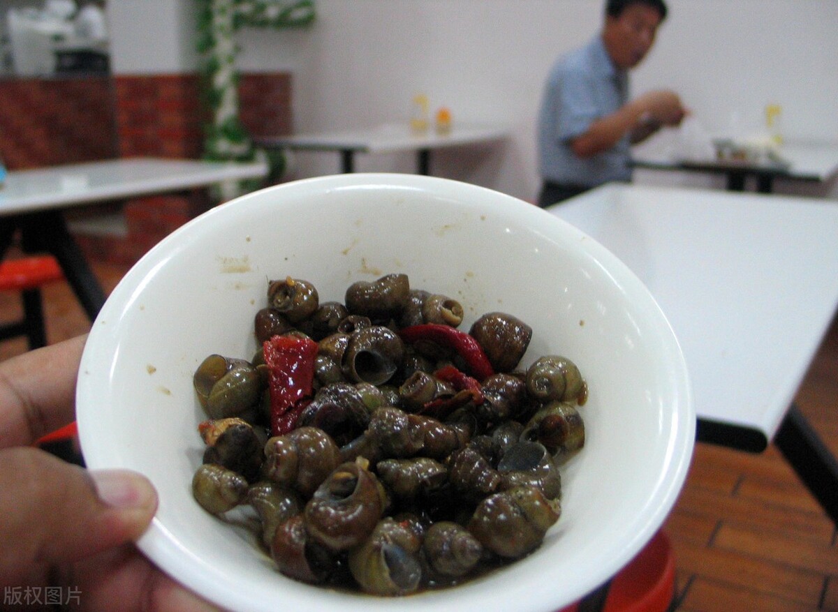 福寿螺的卵泛滥成灾视频,福寿螺产卵泛滥成灾