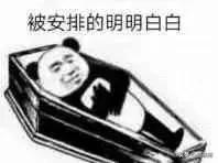 猫薄荷骗猫喝水有危害吗,为什么猫吸猫薄荷会上瘾