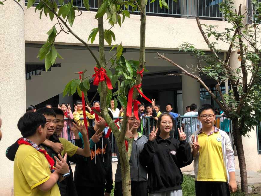 四川内江东兴区五星小学,内江市东兴区东兴小学