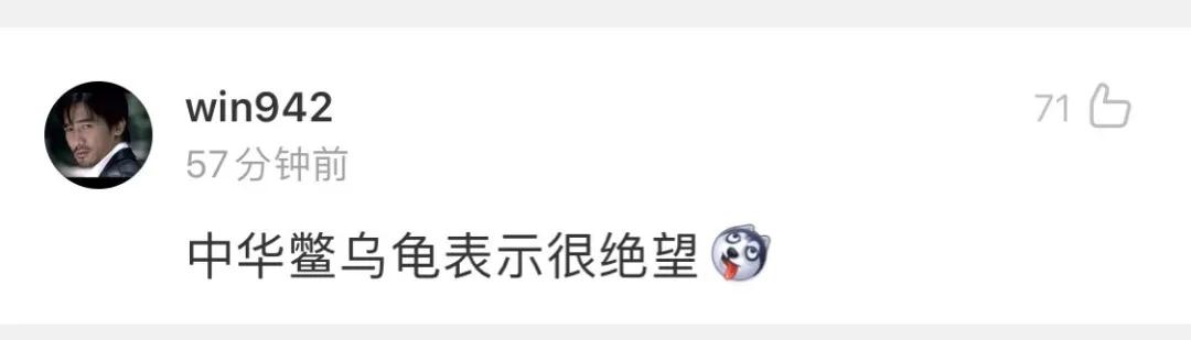 官方明确了！中华鳖、乌龟等不入禁食名录