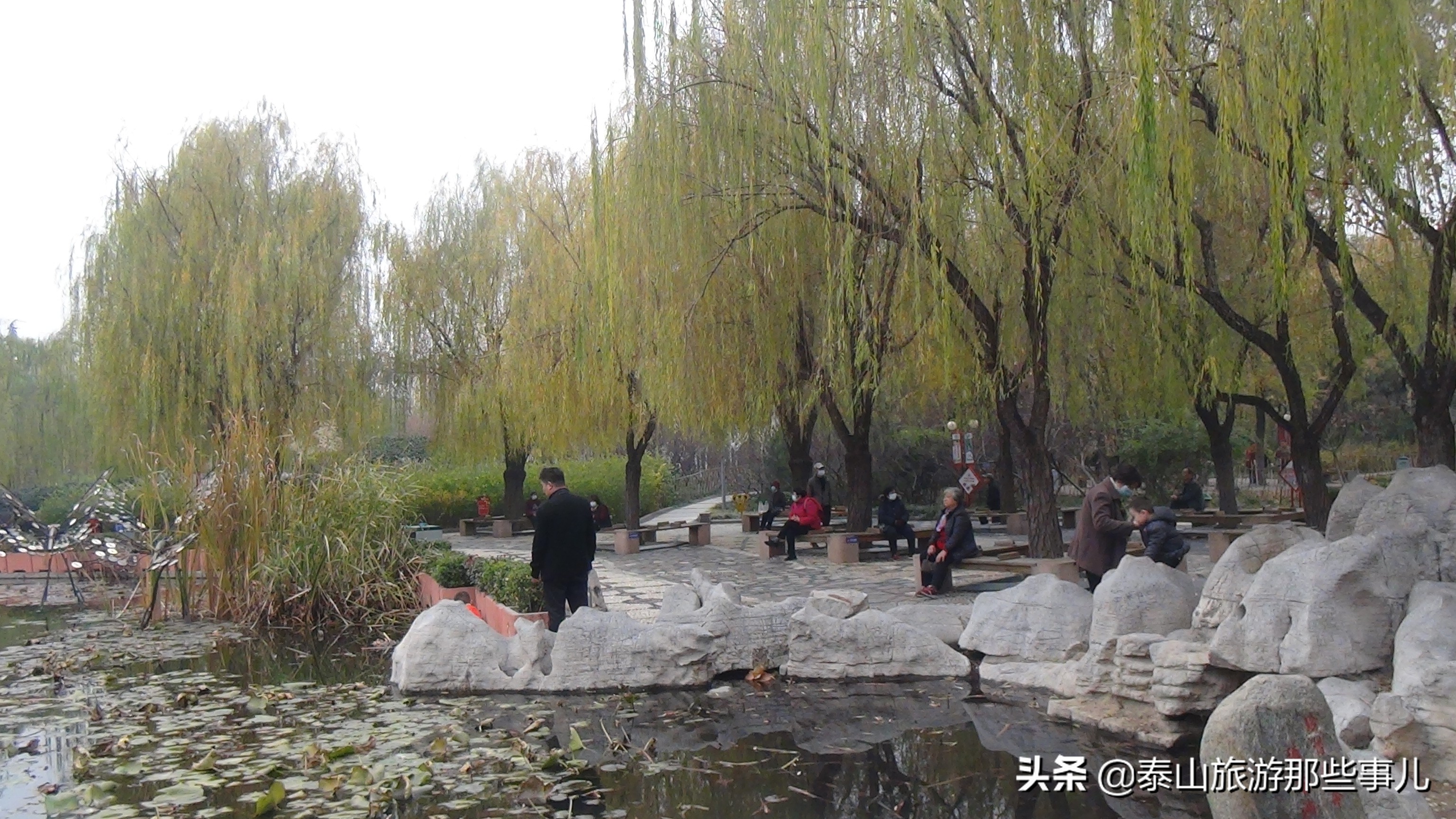 *安泰**老城区一处绿地公园，水华流韵景色美，冬日休闲观光好去处