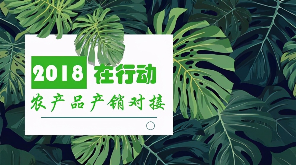 农业信息化图解,我国农业信息化