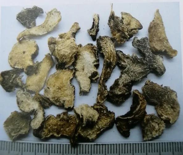 收敛止血的中成药有哪些,止血收敛的药有哪些