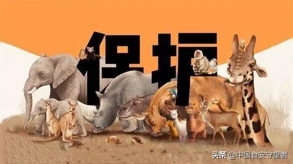 野生动物名录2021,最新三有野生动物名录