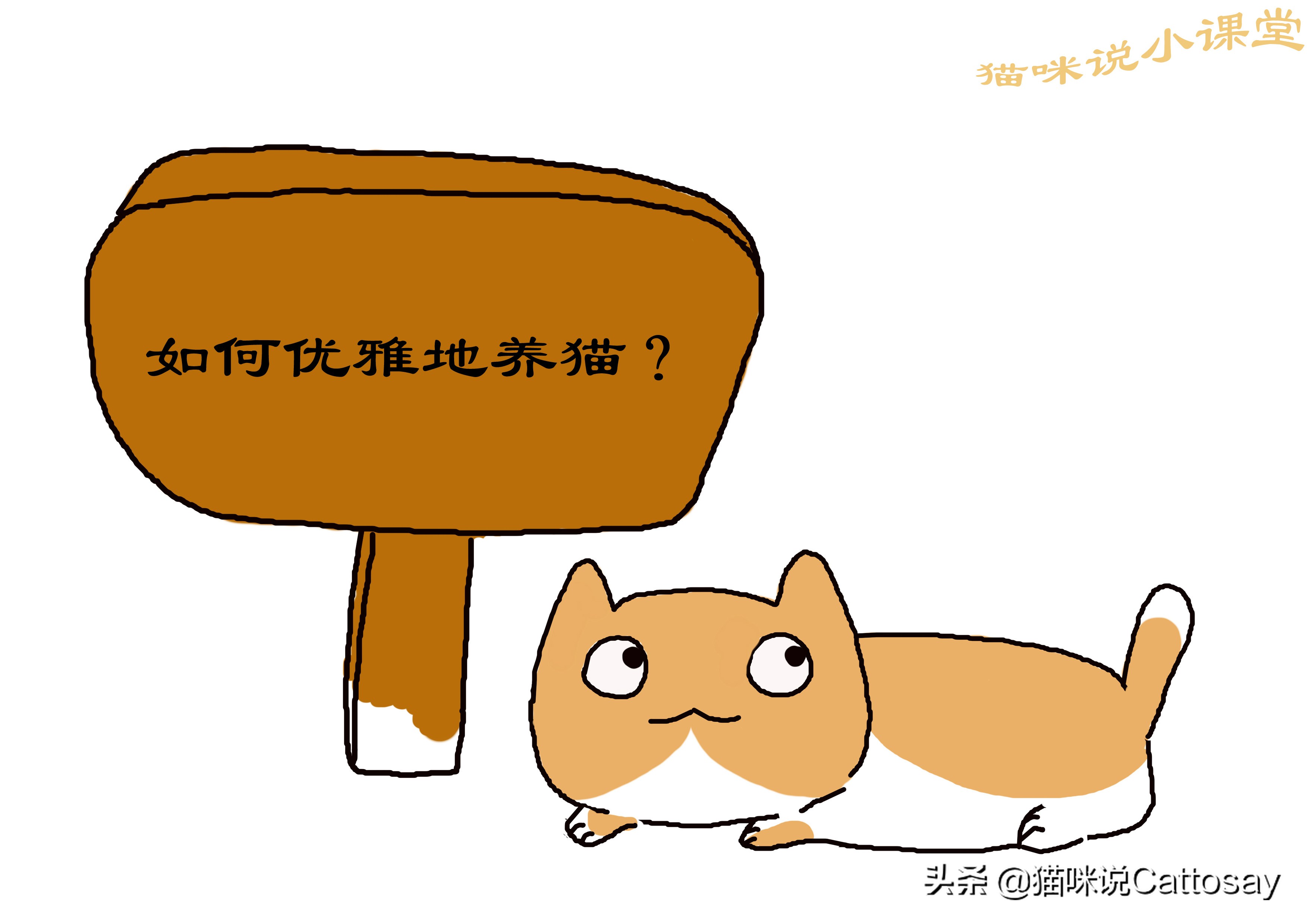 想养猫的精神状态,想养猫的人要注意什么