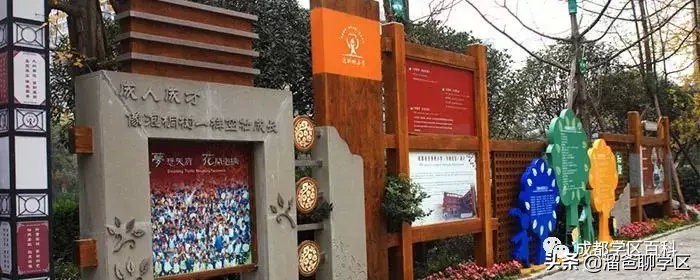 名校巡礼之泡桐树小学天府校区,名校巡礼