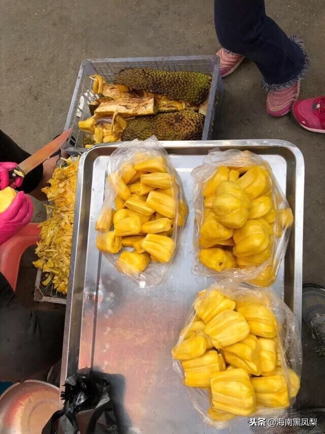 海南冬天最适合生活的地方,海南的冬天海滩