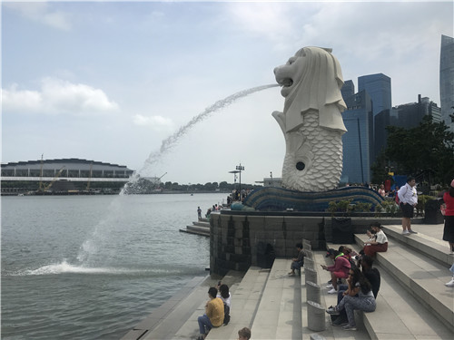 揭秘NUS应对新冠疫情最新科研动向：信息技术解决方案