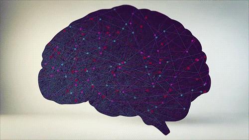 几个关于梦的知识：梦到底是什么？它是如何产生的？它是否有意义