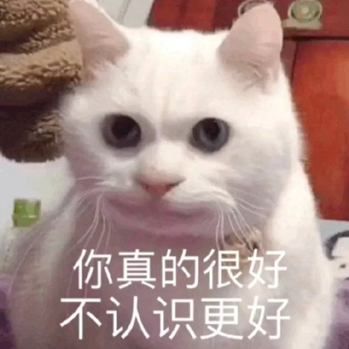 对不起，我是尬聊废物