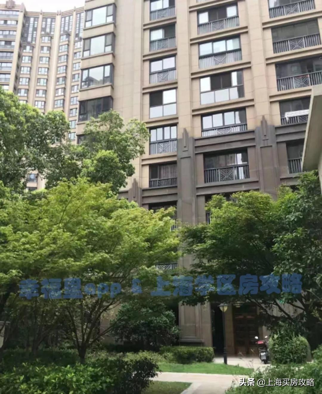 全市稀缺的优质公立双学区！被低估的北区王者！闸北实验小学测评