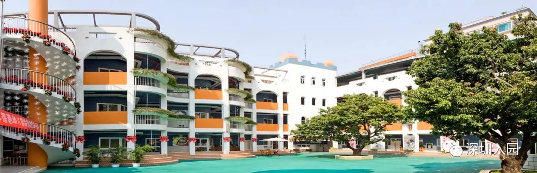 深圳幼儿园示范园入学条件,深圳100所幼儿园排名