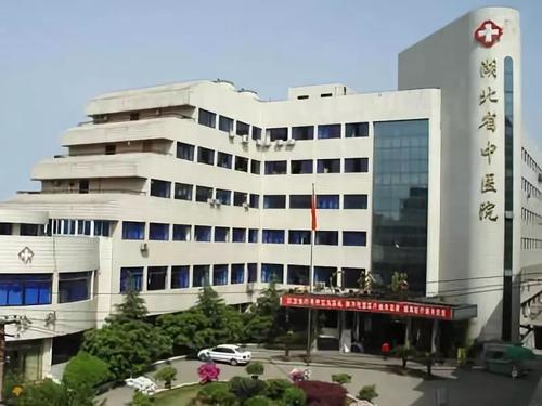 武汉三甲医院全部名单,湖北武汉的三甲医院有几所