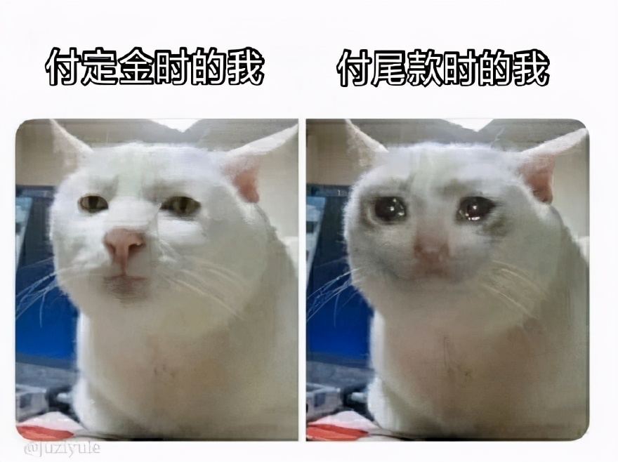 一千块的洗衣机有什么推荐的,双十一哪个洗衣机最便宜