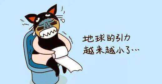 肠道都喜欢怎样的食物？想要胃肠健康，这么吃就对了
