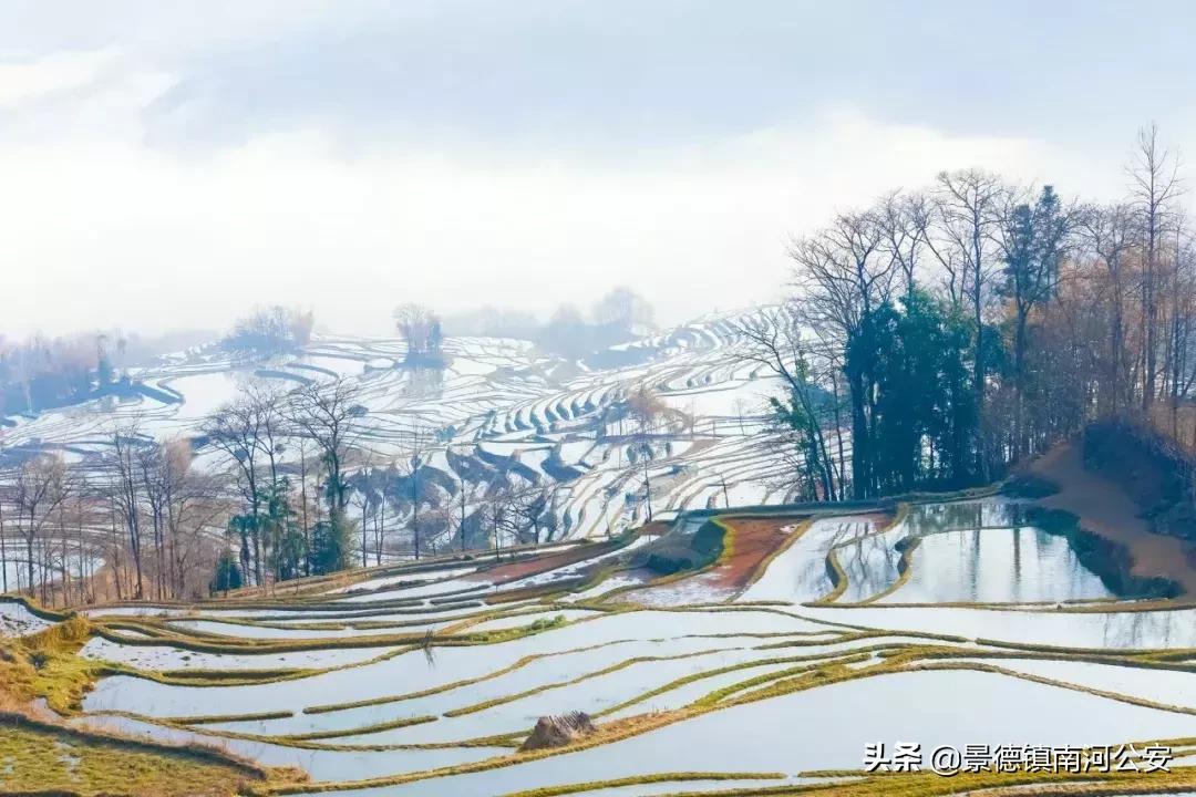 词中之龙辛弃疾10首经典词句欣赏,辛弃疾最有名的10首诗词
