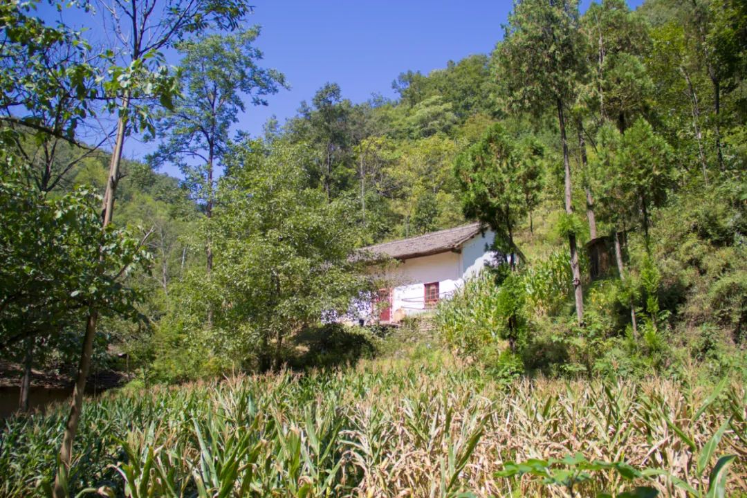 秦岭山中出现一茅屋，主人不在家，只见门口板凳上放着一个铜烟锅