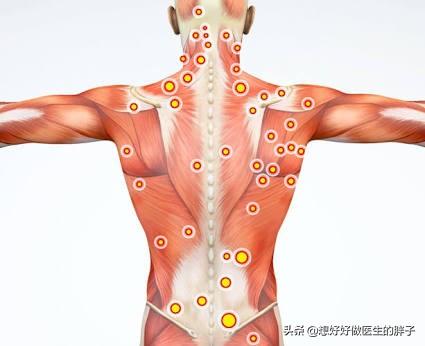 腰痛要休息多久才能运动,腰痛患者都有哪些运动不推荐做