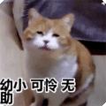 看个大病大概要花多少钱,看个病报销多少