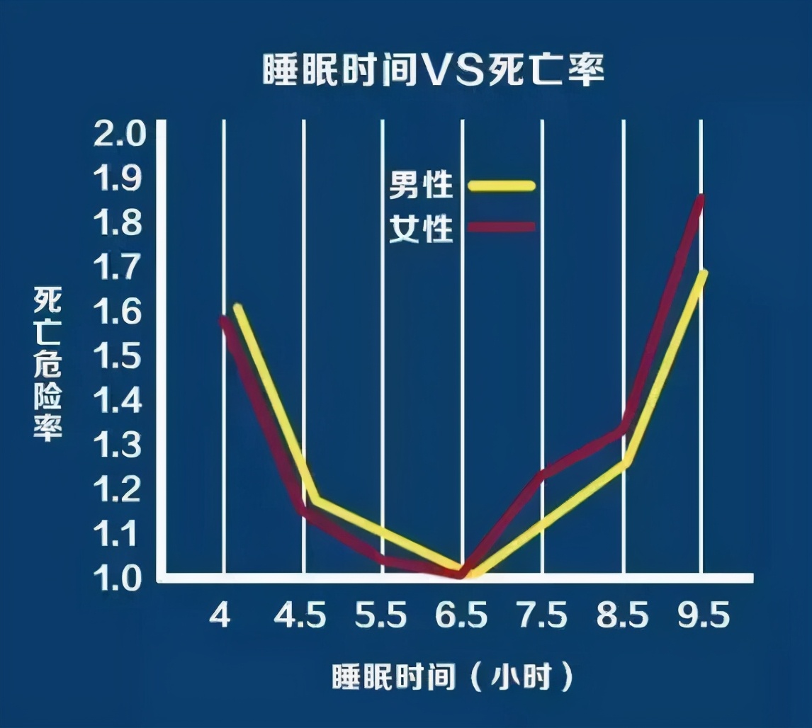 研究表明多睡觉的危害,心脑血管疾病和肥胖的关系