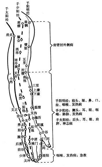 腧穴概论笔记,腧穴的分类和区别
