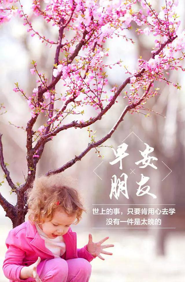 相信是成功的开始励志,坚持是成功的终点你还在观望吗