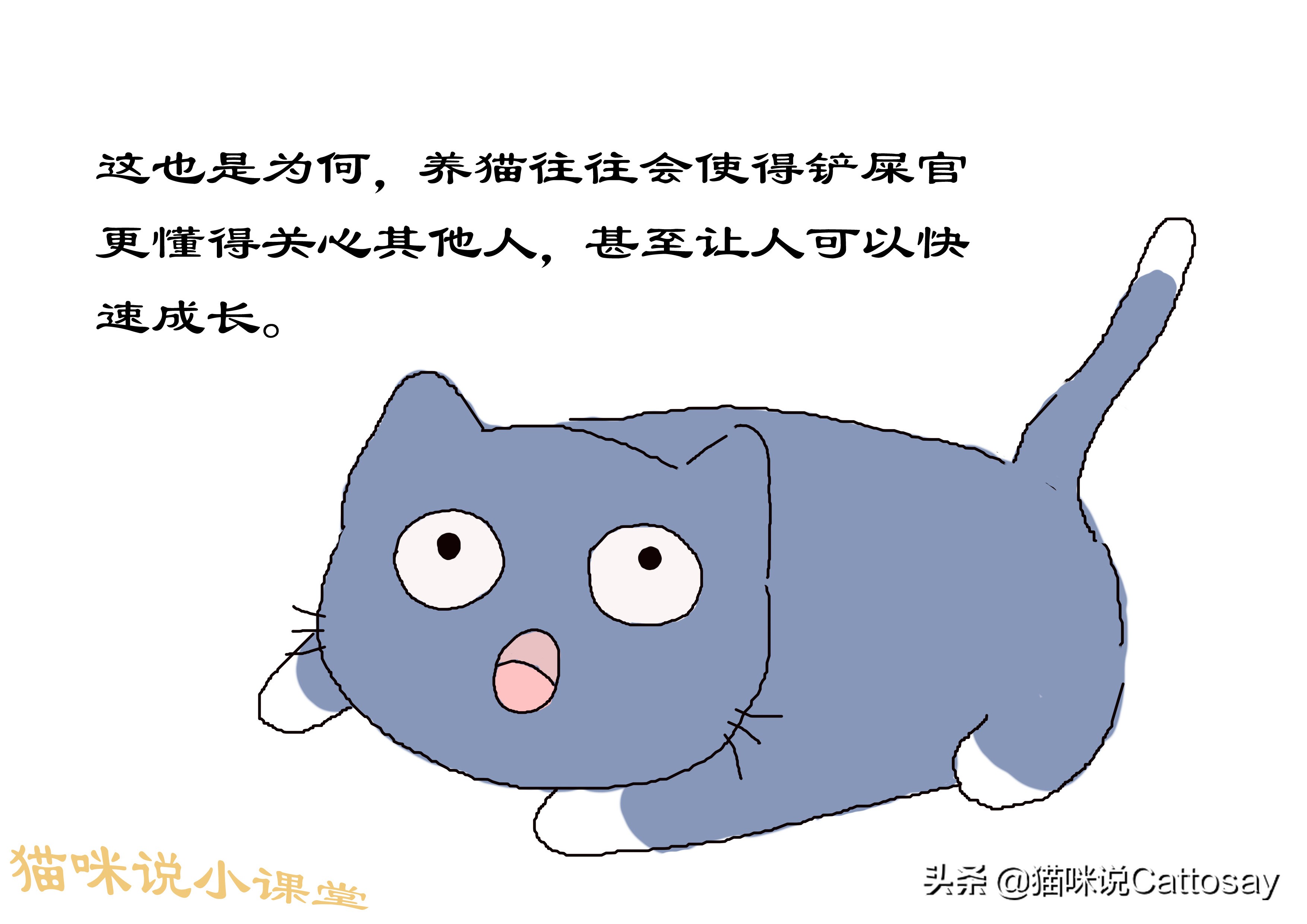 想养猫的精神状态,想养猫的人要注意什么