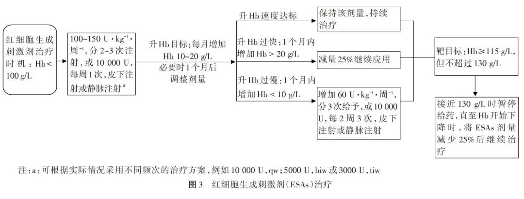 关于肾性贫血的几点建议,治肾性贫血有哪几种药