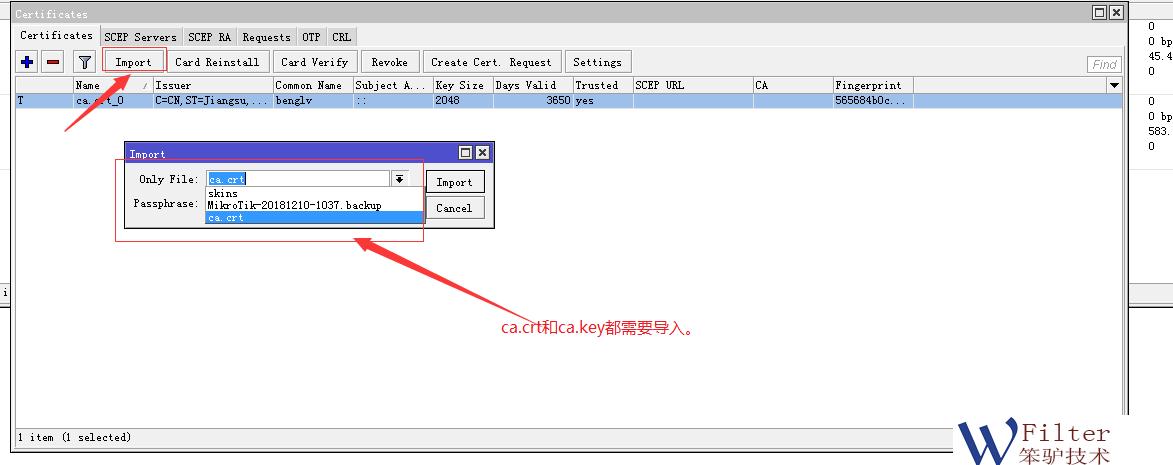 RouterOS和WSG上网行为管理网关如何使用Openvpn组网？