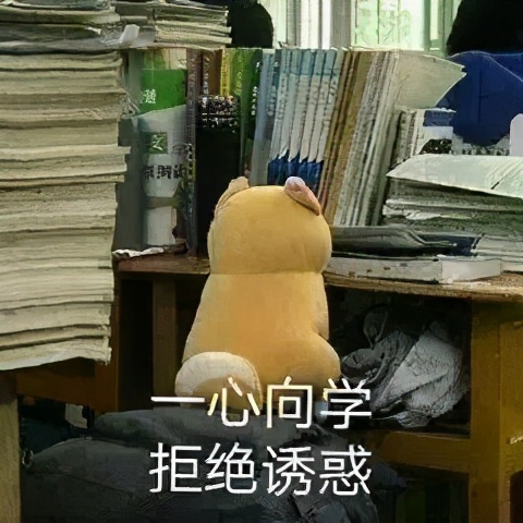 最强控油攻略|夏日皮肤不出油，就靠它们了