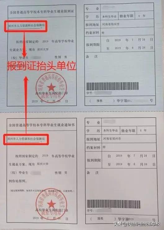 报到证作用及解读,报到证用途注意事项