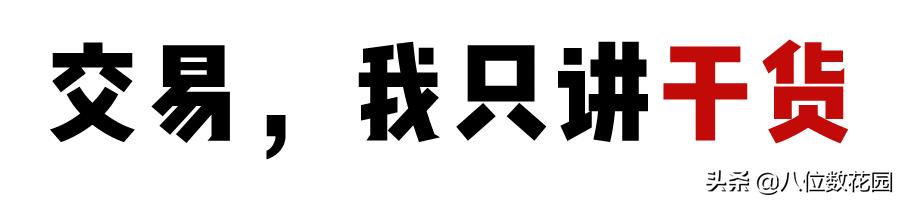 怎样打造自己的交易软件,怎么打造自己的交易系统