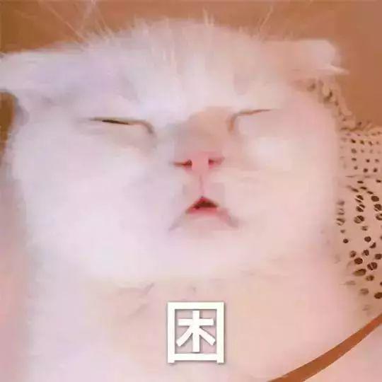 吃早餐真的会让人变胖嘛,bbc科学实验