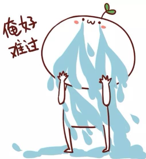 养兰新手用啥盆,最简单的养兰植料