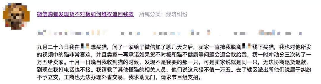 线下买猫被坑了怎么办,被卖猫的商家骗了怎么办