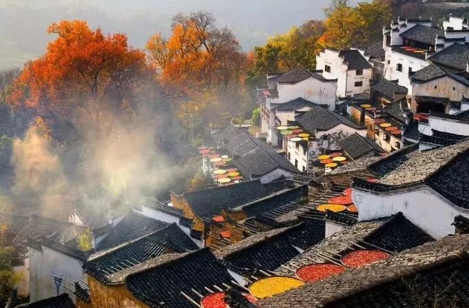 婺源旅游全攻略自由行,婺源旅游攻略一日游自由行
