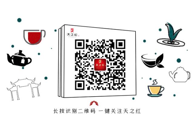 喝春茶的人生感悟,喝春茶的意境诗句