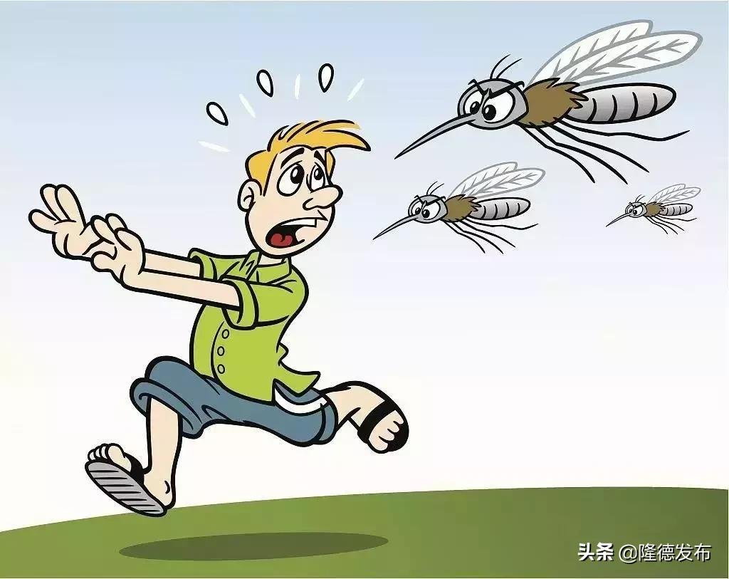 乙脑蚊子是哪种,乙脑高发症状