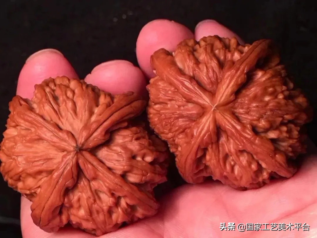 核桃珍稀品类排名,核桃极品色