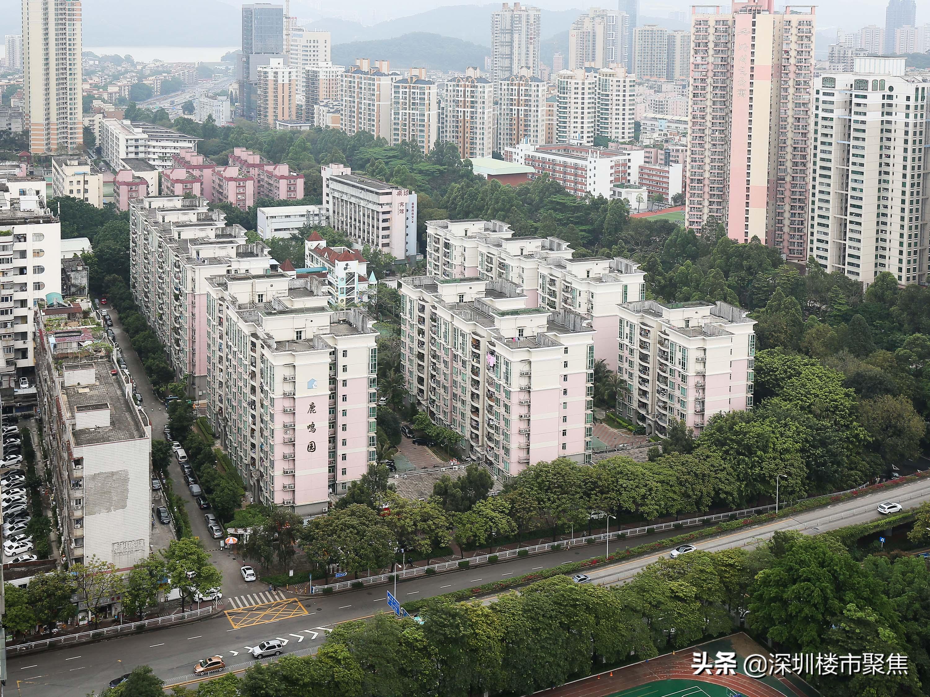 深圳罗湖区有哪些名校,翠园东晓中学在深圳排名
