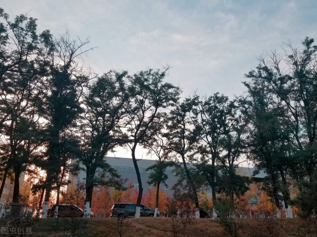 车辆工程专业院校全国排名一览表,车辆工程专业全国高校排名一览表