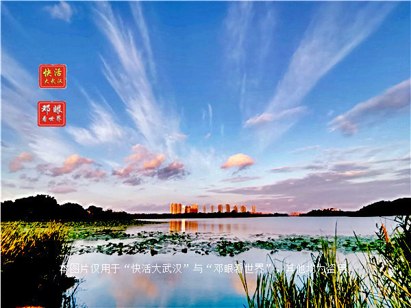 武汉后官湖湿地公园水质清澈风光,后官湖湿地是武汉最小的湿地吗