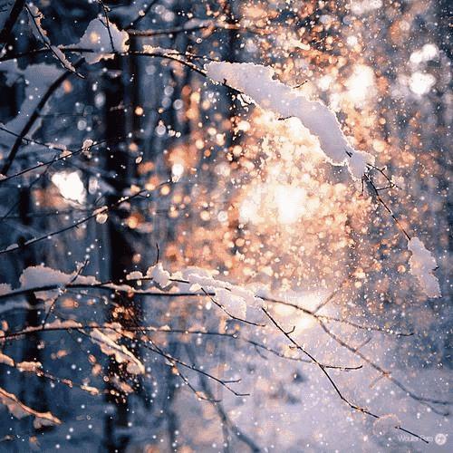 邯郸雪下哪里了,雪如约而至周末天气怎么样