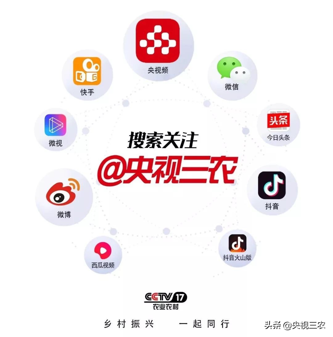 红糖补血吗可以经常喝吗,红糖真的可以补血吗