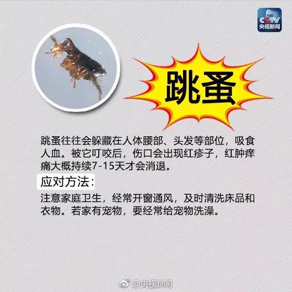 广西红火蚁咬伤事件,红火蚁入侵防城港市