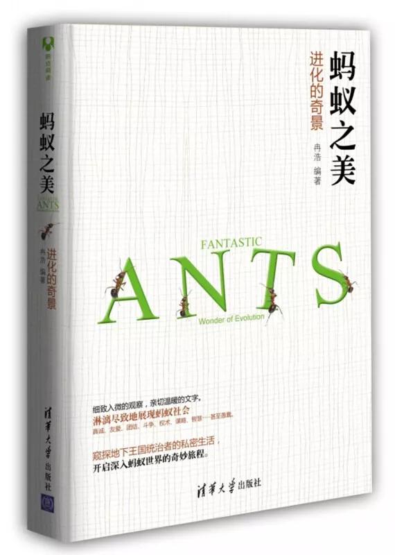 如何在暑假跟同学拉开差距,清华学霸高考100天攻略