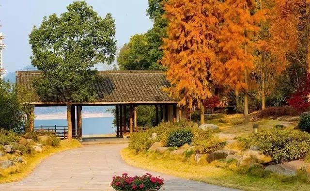 邂逅秋天的千岛湖！光看图已美醉，住这7家美宿避开人群赏湖景山色