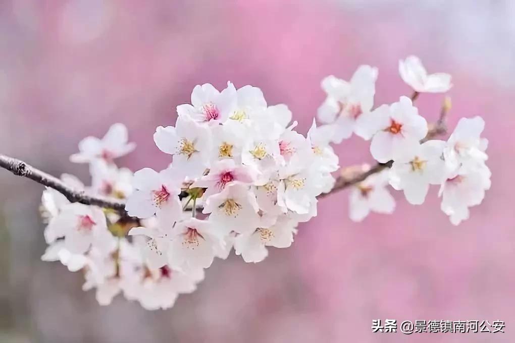 愿你越来越好的诗句,愿你不负时光的经典诗词