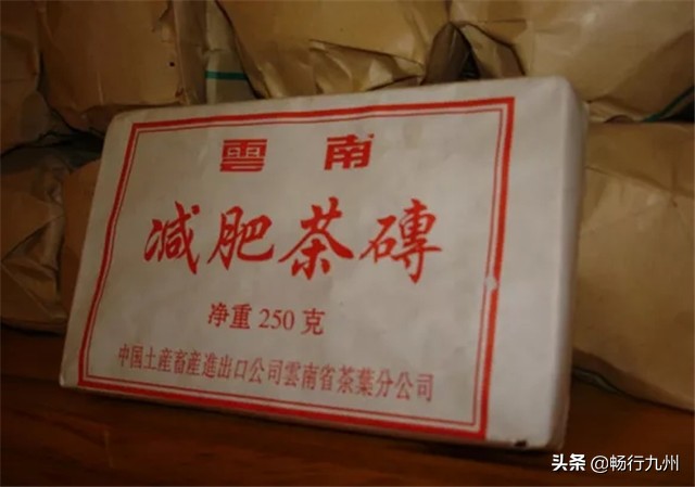 张静红讲普洱茶,张静红普洱